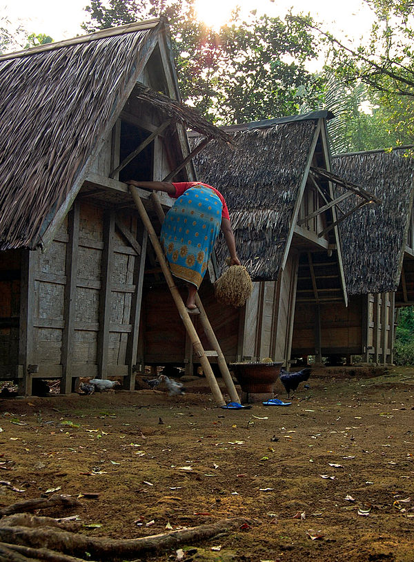 Leuit, Sundanese traditional granary, in West Java, Indonesia.