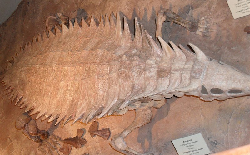 File:Longosuchus.jpg