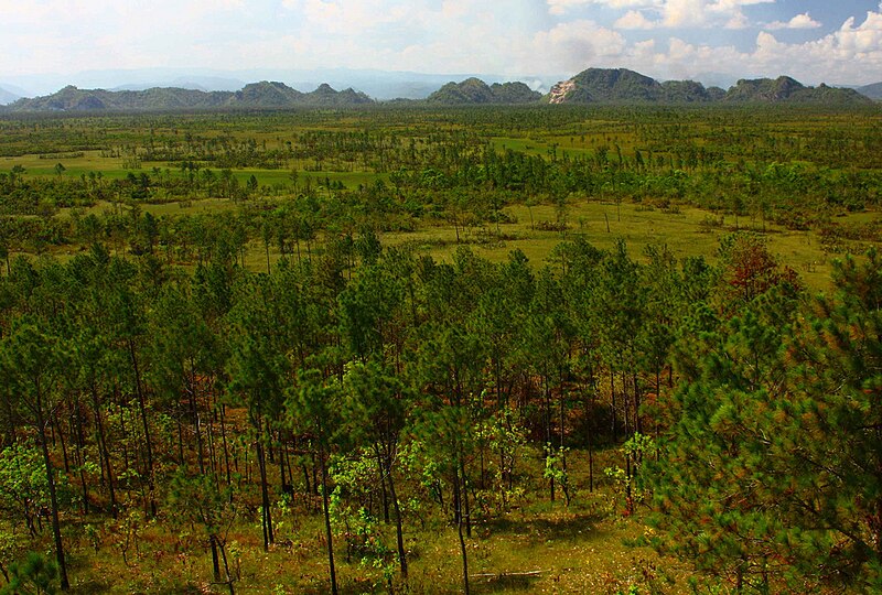 File:Looking towards the Maya Mountains from the fire watchtower.jpg