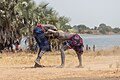 Lucha entre clanes de la tribu Mundari, Terekeka, Sudán del Sur, 2024-01-29, DD 196