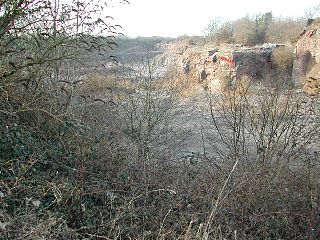 Lulsgate Quarry Geological Site of Special Scientific Interest in Somerset, England