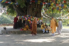 Lumbini, Buddhist pilgrims 2, Tree, Nepal.jpg