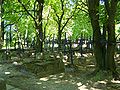 English: Lychakivsky Cemetery. Українська: Личаківське кладовище. Polski: Cmentarz Łyczakowski.