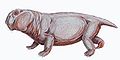 リストロサウルス・ムッライ Lystrosaurus murrayi（想像図）