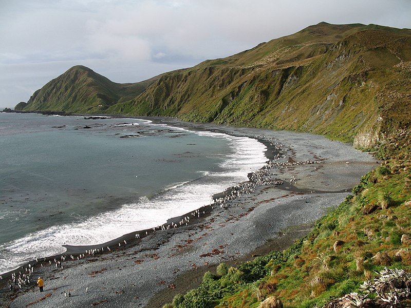 File:MacquarieIsland7.JPG