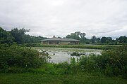 Pond at Tenney Park