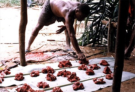 Mbendjele hunter-gatherer meat sharing