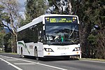 Photo of a McKenzie's Tourist Services Custom Coaches CB60 EvoII bodied MAN 18.280 (6413 AO) on route 685 outside Healesville, Victoria, Australia, 2010.