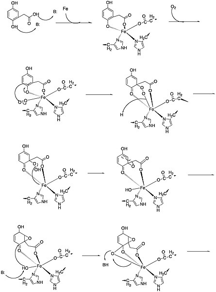 File:Mech01.jpg