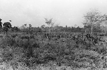 The Nigerian brigade halts on the Rondo Plateau, October 1917, World War I Ministry of Information First World War Official Collection Q15395.jpg