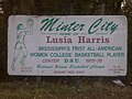 Panneau sur l'U.S. Highway 49E indiquant Minter City en tant que ville natale de la basketteuse Lusia Harris