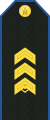 Mongolian Air force-SSG-service.svg