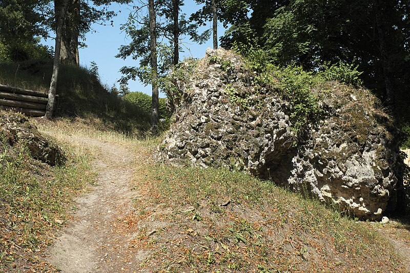 File:Montfort-l'Amaury Parc du Château 952.jpg