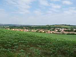 Gezicht op Montlaur