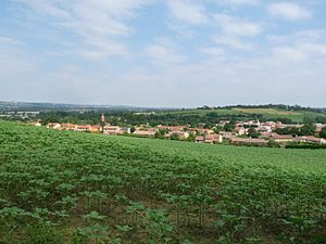 Habiter à Montlaur