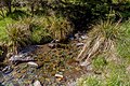 * Nomination Myttons Creek, Kahurangi National Park --Podzemnik 06:01, 21 May 2020 (UTC) * Promotion  Support Good quality. --Poco a poco 07:08, 21 May 2020 (UTC)