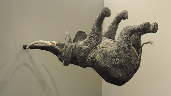 Gravity-defying elephant sculpture "Nautamanus" by Daniel Firman at Kunsthal Rotterdam