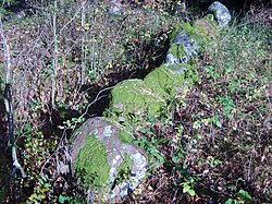 Great stone grave Wietzetze 1