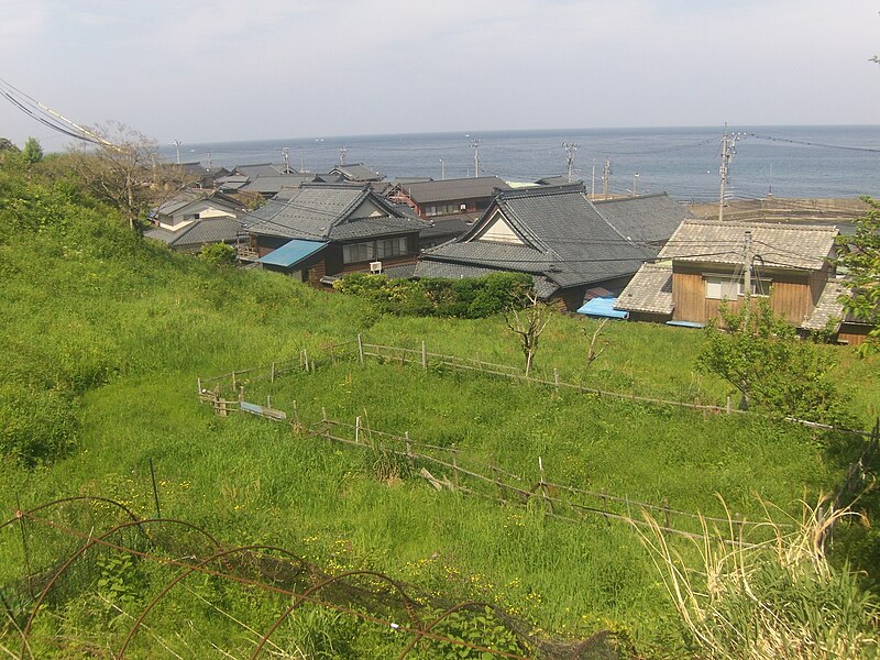 File:Narcissus fields of Shimomisaki 02.jpg