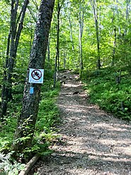 Narragansett Trail's south-east trail head on Wintechog Road.jpg