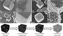 Self-organization in micron-sized Nb3O7(OH) cubes during a hydrothermal treatment at 200 degC. Initially amorphous cubes gradually transform into ordered 3D meshes of crystalline nanowires as summarized in the model below. Nb3O7(OH) self-organization2.jpg