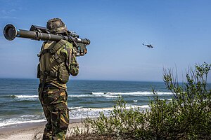 Fim-92 Stinger: Geschichte, Technik, Varianten