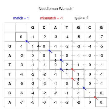 Needleman–Wunsch algorithm