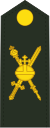 Netherlands-Army-CiC.svg