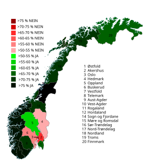 <span class="mw-page-title-main">1919 Norwegian prohibition referendum</span>