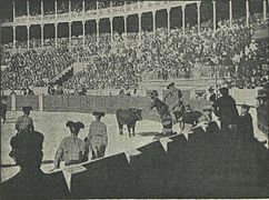 Corrida della giovenca il 22 novembre 1896 nell'arena di Fuente del Berro