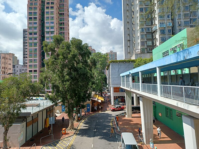 File:On Shun Street, Yuen Long part 8 in August 2022.jpg