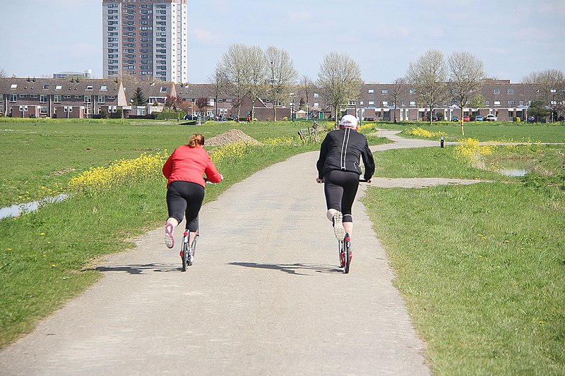 File:Op de step in Spijkenisse.jpg