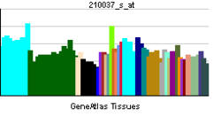 PBB GE NOS2A 210037 s ĉe tn.png