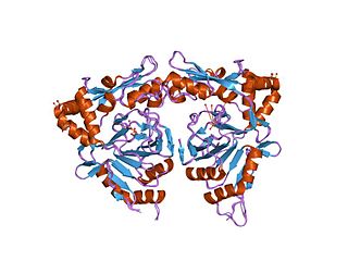 <span class="mw-page-title-main">TauD protein domain</span>