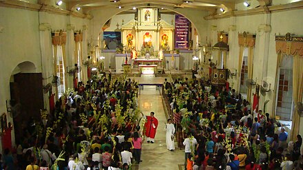 A priest blesses palms on Palm Sunday in the church of Plaridel, Bulacan (2012).