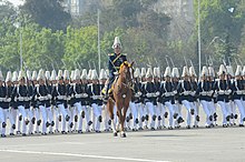 Chilean soldiers with M1912 rifles during the Great Military Parade of Chile in 2014. Parada Militar 2014 (15105459487).jpg