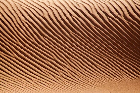 Dunes at Jalapão State Park (Tocantins, Brazil), by João D’Andretta