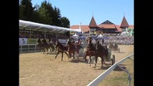 Arquivo: Corrida de cavalos no Marché Concours 2018.webm