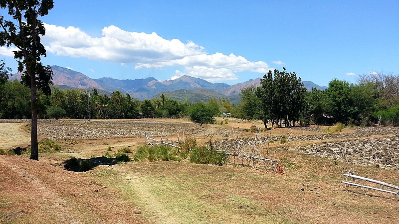 File:Philippines - Igbaras, Iloilo - The Unused Fields and the Far Mountain (4).jpg