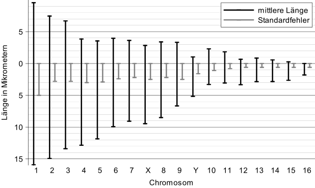 File:Phodopus roborovskii DE Chromosomenlänge.svg