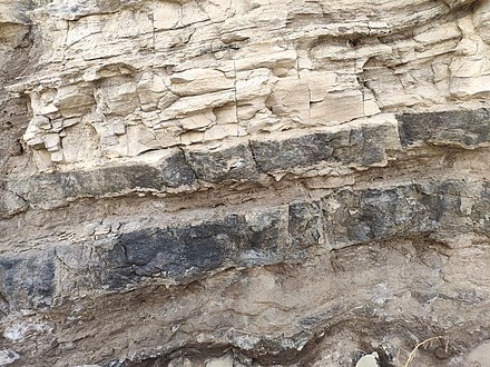 סלע פוספוריט מתצורת מישאש, כביש 31