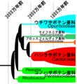 2012年6月12日 (火) 12:18時点における版のサムネイル