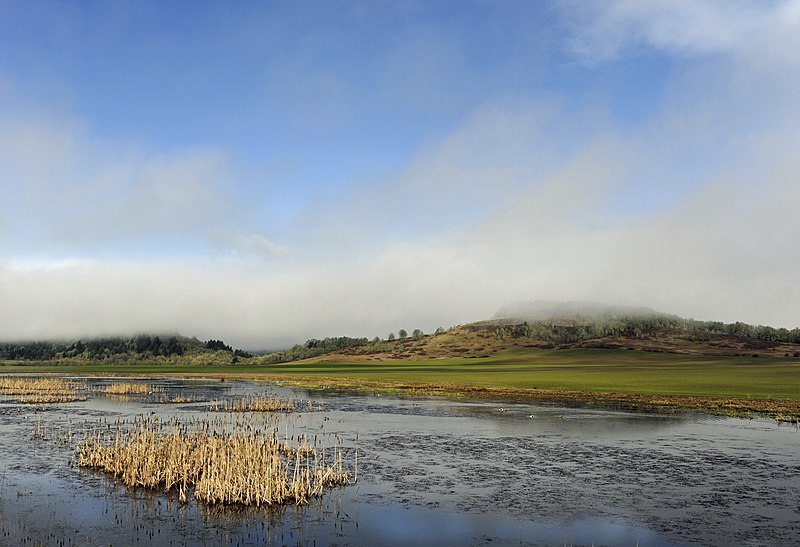 File:Pigeon Butte morning light (5696127768).jpg