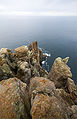 Pillars of Cape Raoul, Tasman Peninsula, Tasmania, Australia