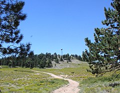 Summit of Mount Pinos in the summer, from the east southeast