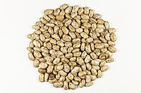 Pinto Beans Seeds.jpg