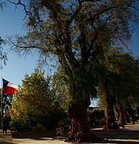 Plaza Principal de San Pedro de Atacama.JPG