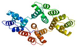 Protein ANXA5 PDB 1a8a.png