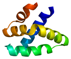 Белок GNLY PDB 1l9l.png