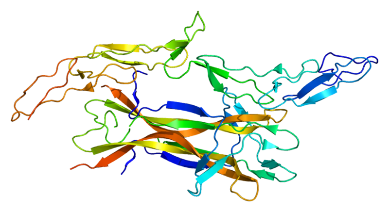 File:Protein NGFR PDB 1sg1.png